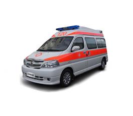 阁瑞斯监护型
